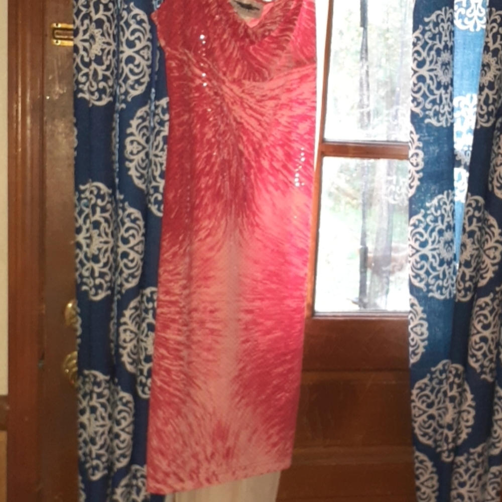 Fancy sequin dress